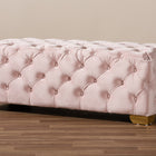 Baxton Studio Avara Glam and Luxe Light Pink Velvet Fabric Upholstered Gold Finished Button Tufted Bench Ottoman