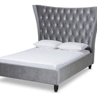 Baxton Studio Viola Glam and Luxe Grey Velvet Fabric Upholstered and Button Tufted Queen Size Platform Bed with Tall Wingback Headboard