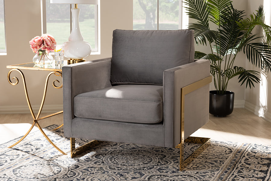 Baxton Studio Matteo Glam and Luxe Grey Velvet Fabric Upholstered Gold Finished Armchair