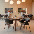 Zuo Limay Dining Chair (Set of 2) Black & Walnut