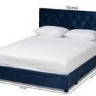 Baxton Studio Caronia Modern and Contemporary Navy Blue Velvet Fabric Upholstered 2-Drawer Queen Size Platform Storage Bed