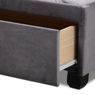 Baxton Studio Caronia Modern and Contemporary Grey Velvet Fabric Upholstered 2-Drawer Queen Size Platform Storage Bed