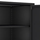 Manhattan Comfort Ava Modern 24" Metal Accent Cabinet in Black