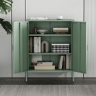 Manhattan Comfort Naomi Modern 32" Metal Accent Cabinet in Sage Green