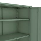 Manhattan Comfort Naomi Modern 32" Metal Accent Cabinet in Sage Green