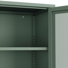 Manhattan Comfort Amelia Modern 32" Metal Accent Cabinet in Sage Green