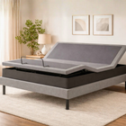 Ergomotion ASCEND High-Low Adjustable Bed with Tilt in a bedroom setting with plants and decor.