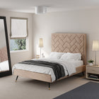 Manhattan Comfort Crosby Modern Velvet Upholstered Full Bed in Nude