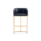 Manhattan Comfort Louvre Mid-Century Modern Metal Upholstered Barstool in Black