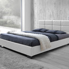 Baxton Studio Vivaldi Modern and Contemporary White Faux Leather Padded Platform Base Queen Size Bed Frame
