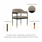 Manhattan Comfort Lia Modern Chenille Metal Armchair in Stone