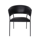 Manhattan Comfort Slate Contemporary Modern Vegan Leather Metal Armchair in Black - Set of 2