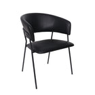 Manhattan Comfort Slate Contemporary Modern Vegan Leather Metal Armchair in Black - Set of 2
