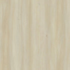 Manhattan Comfort Novara Contemporary 60" Writing Desk in Whitewashed Oak (2-Drawer)