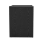 Manhattan Comfort Novara Contemporary 60" Writing Desk in Black (2-Drawer)