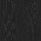 Manhattan Comfort Novara Contemporary 60" Writing Desk in Black (2-Drawer)