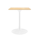 Modway Lippa 24" Square Wood Dining Table  