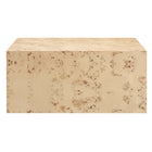 Modway Cosmos 36" Square Burl Wood Coffee Table