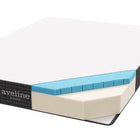 Modway Aveline 8" Queen Mattress