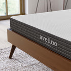 Modway Aveline 6" Queen Mattress