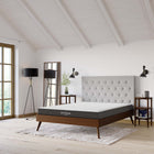 Modway Aveline 6" Queen Mattress