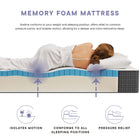 Modway Aveline 10" Full Mattress