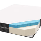 Modway Aveline 10" Full Mattress
