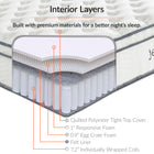 Modway Jenna 10" Innerspring and Foam Queen Mattress