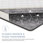 Modway Kate 6" Queen Mattress