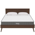 Modway Kate 6" Queen Mattress