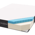 Modway Aveline 10" California King Mattress
