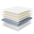Modway Jenna 10" Innerspring and Foam California King Mattress