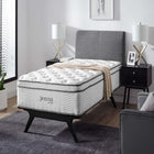 Modway Jenna 14" Innerspring and Foam Twin Mattress