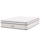 Modway Jenna 14" Innerspring and Foam Queen Mattress  
