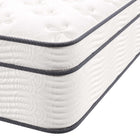 Modway Jenna 14" Innerspring and Foam Queen Mattress