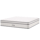 Modway Jenna 14" Innerspring and Foam King Mattress  