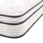 Modway Jenna 8" Innerspring and Foam Narrow Twin Mattress