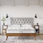 Modway Jenna 8" Innerspring and Foam Queen Mattress