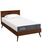Modway Mila 8" Twin Mattress