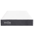 Modway Mila 8" Twin Mattress