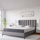 Modway Mila 8" Queen Mattress
