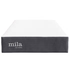 Modway Mila 10" Twin Mattress