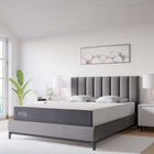 Modway Mila 10" Queen Mattress