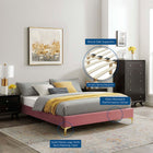 Modway Sutton Performance Velvet Queen Bed Frame