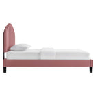 Modway Daisy Performance Velvet Queen Platform Bed - Black Wood Legs