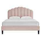 Modway Daisy Performance Velvet Queen Platform Bed - Black Wood Legs