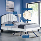 Modway Daisy Performance Velvet Queen Platform Bed - Black Wood Legs