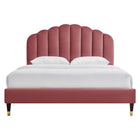 Modway Daisy Performance Velvet Queen Platform Bed - Black Wood Legs