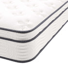 Modway Jenna 10" Innerspring and Foam Twin XL Mattress