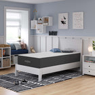 Modway Aveline 12" Memory Foam Twin Mattress